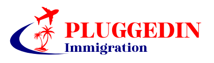 PLUGGEDIN Immigration